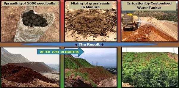 Steps taken for effective and sustainable plantation at Nigahi OC of NCL 